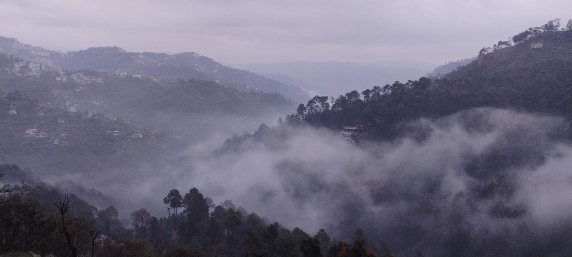 Thakur Homes- Couple And Family Friendly Homestay Shimla Exterior foto